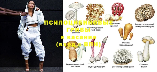 мдпв Няндома