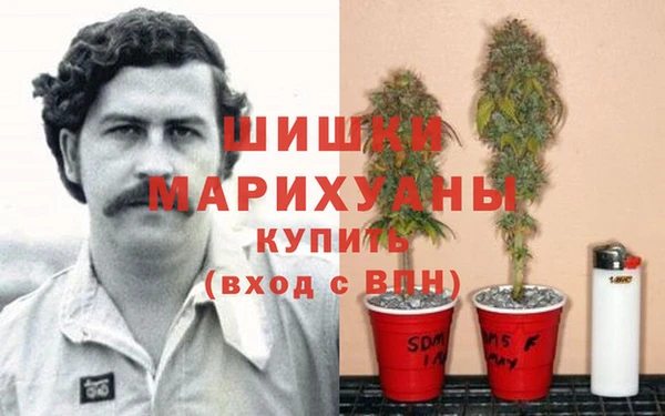 мдпв Няндома